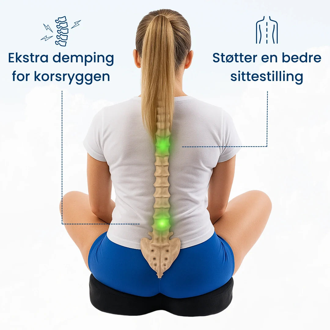 Din Holdning - Ergonomisk Sittepute